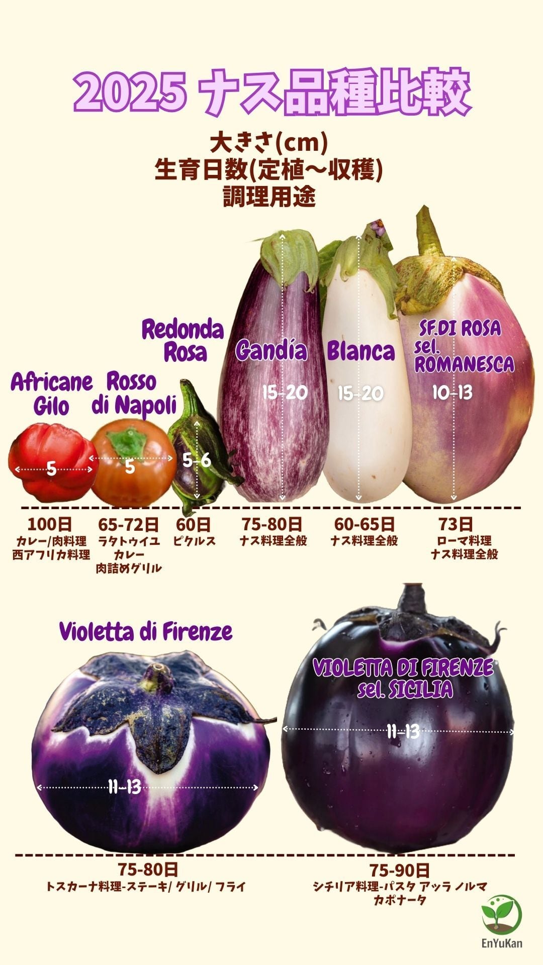 野菜の品種カタログ 野菜の品種別情報 特長・栽培の要点・適作型タキイの野菜タキイ種苗