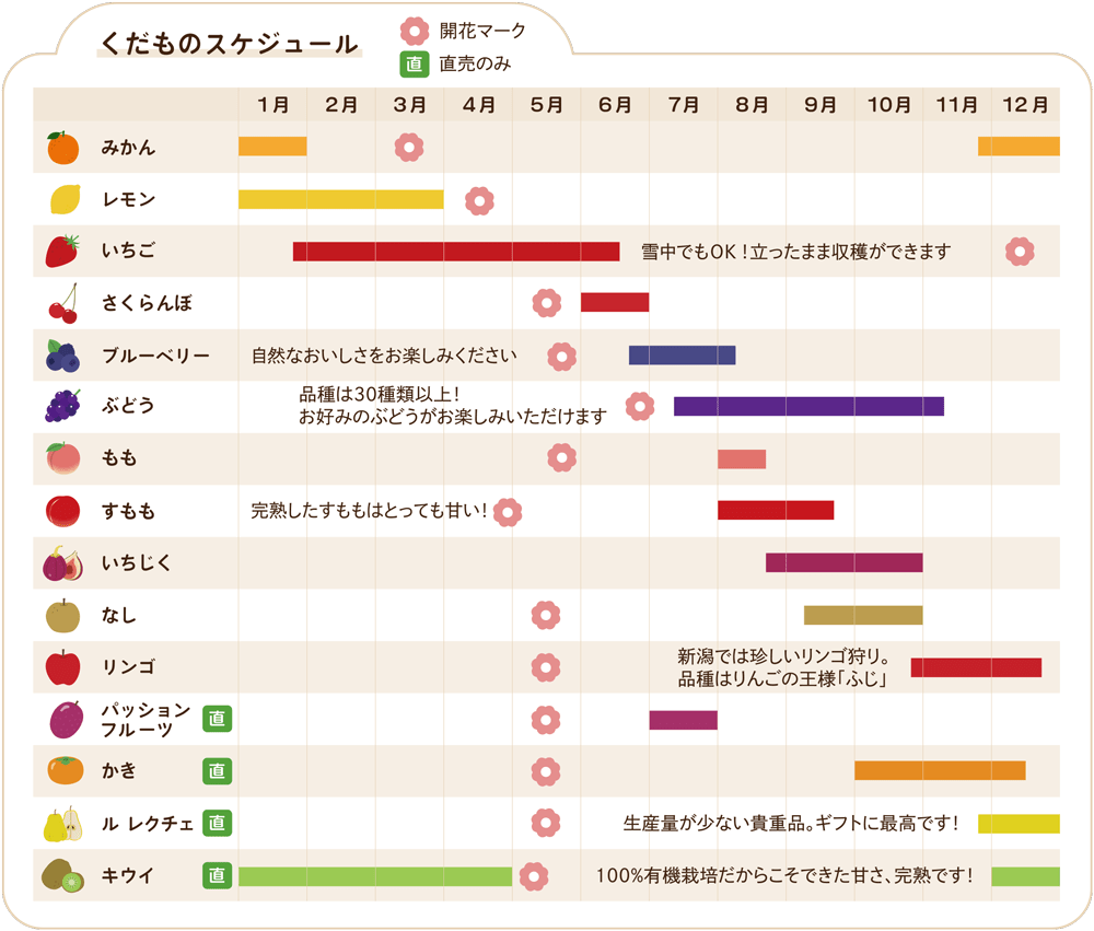 佐野観光農園アグリタウンで旬のもも狩りを楽しもう！とちぎの農村めぐり特集栃木県農政部農村振興課