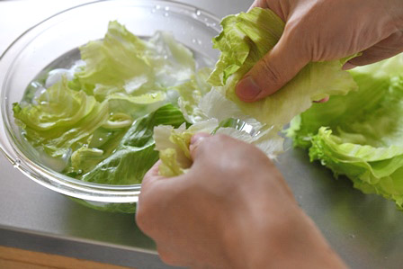 キャベツとレタスのマヨネーズ和え