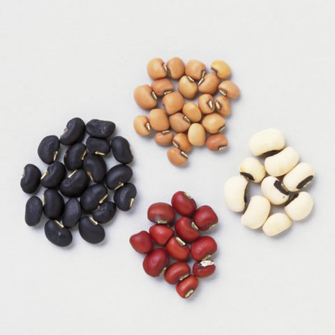 ハレの日でなくても気軽に！炊飯器で炊くお赤飯