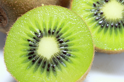 果樹の定植 キウイフルーツ- 無農薬・自然菜園 自然農法・自然農 で、持続できる自給自足Life。~自然な暮らしの豊かさの分かち合い~