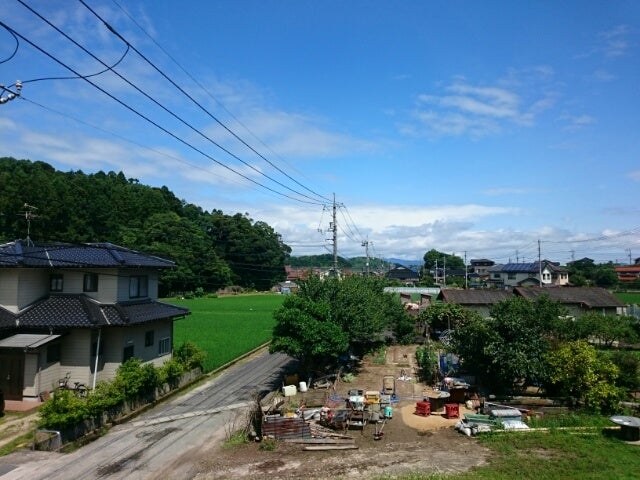 みょうがの旬の時期・季節はいつ?栄養や美味しい食べ方も紹介暮らしニスタ