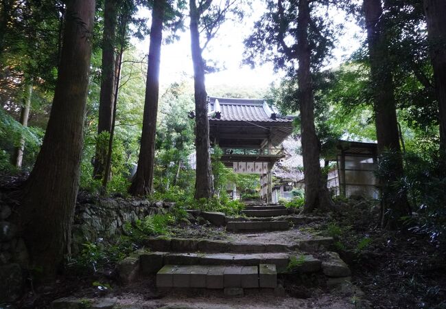 川棚温泉のホテル・旅館一覧＆温泉地情報 【楽天トラベル】