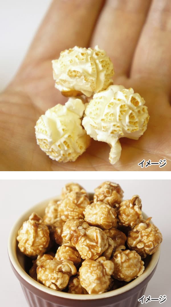 歩くポップコーンみたいな虫。まるでファンタジーのキャラクターのようで、可愛くも不思議 : 小太郎ぶろぐ