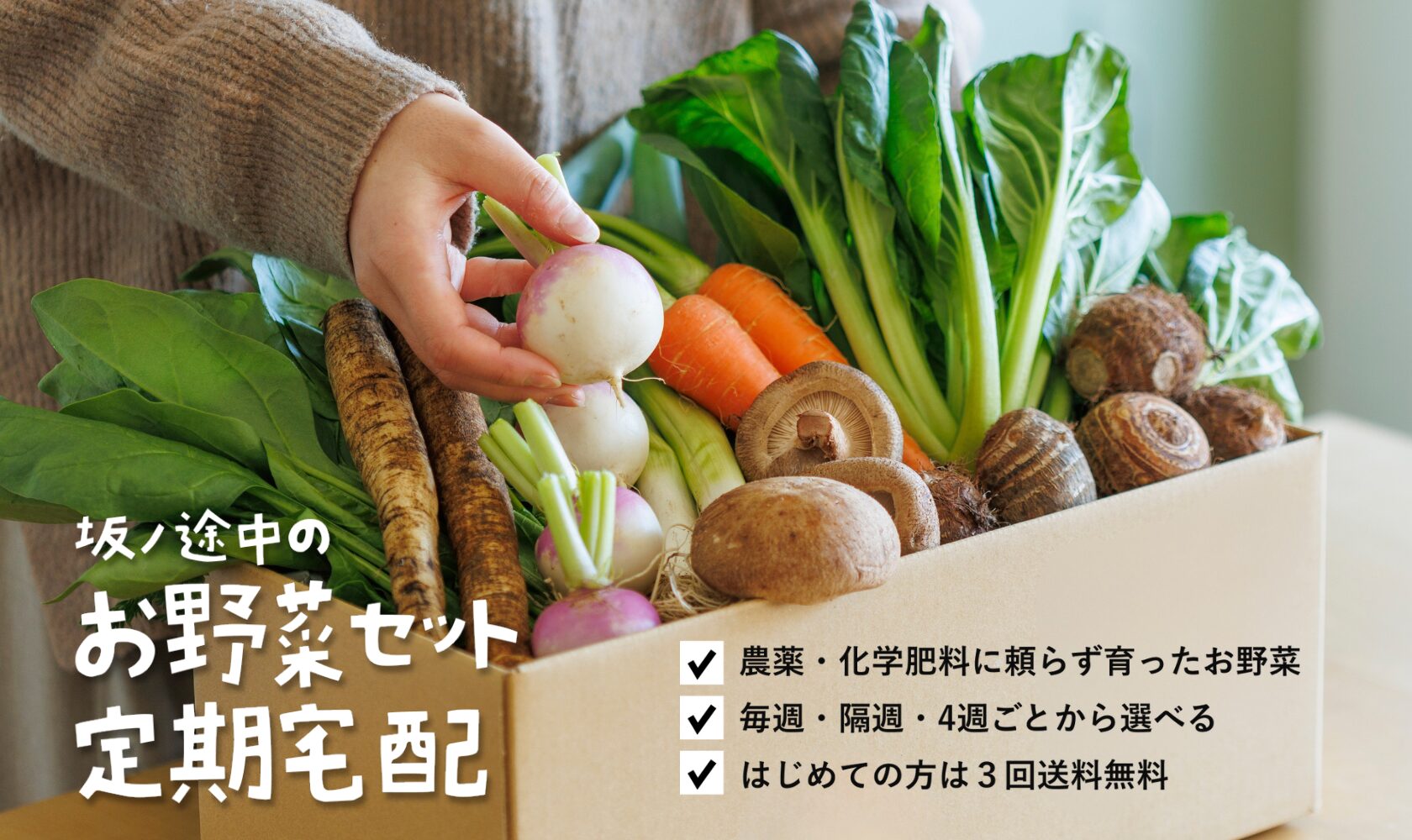 楽天市場あす配 送料無料野菜セット 16品 野菜詰め合わせ 野菜BOX 野菜 詰め合わせ 旬 食材 産地直送 新鮮 宅配 生野菜上越フルーツ キャベツ レタス じゃがいも 大根 トマト 玉ねぎ 人参 小松菜 野菜宅配 : 上越フルーツ 楽天市場店