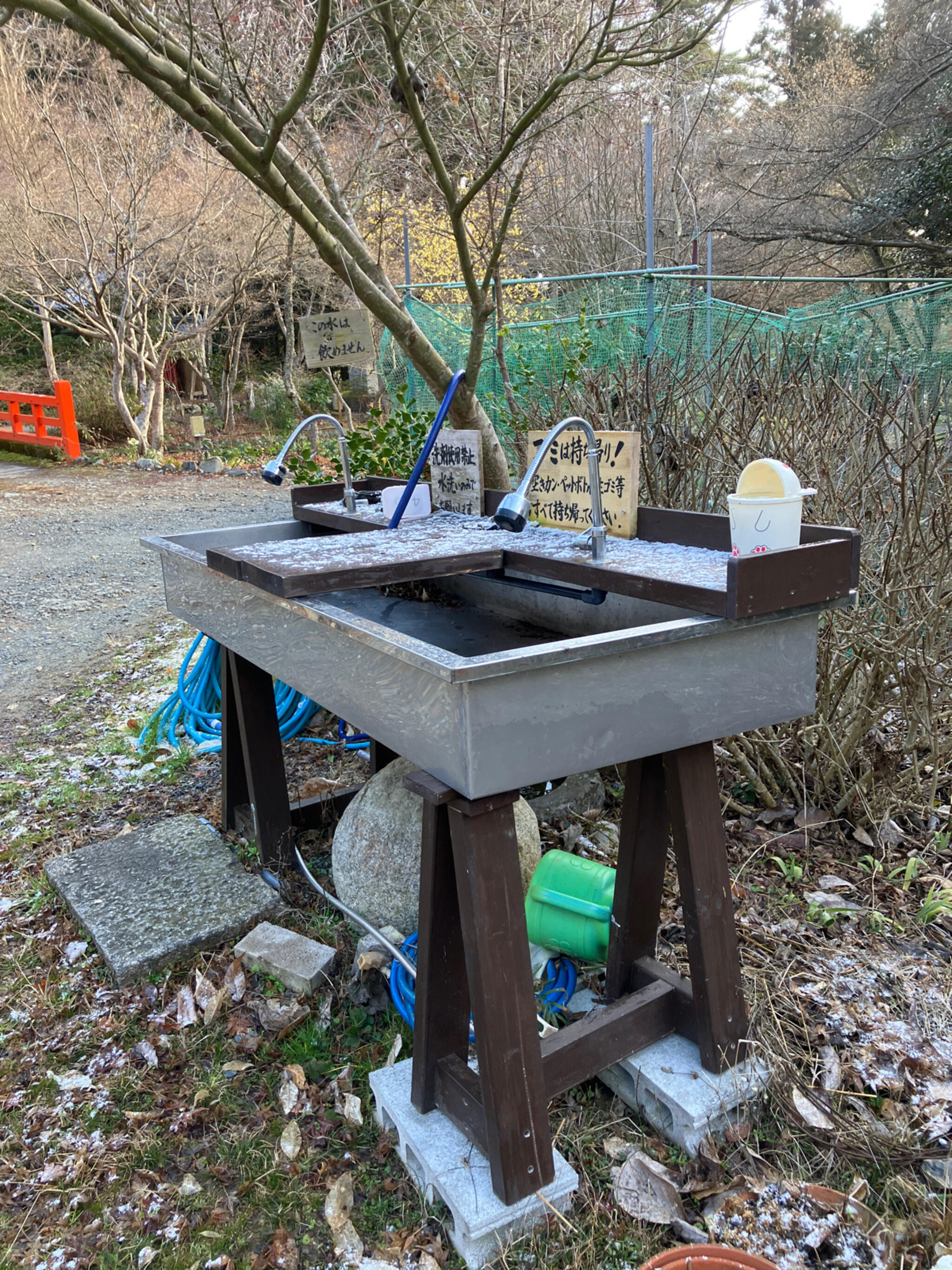 観光まちづくり佐伯 | 【にいなめフラワーパーク｜佐伯市上浦】旧最勝海小中学校グラウンドに、河津桜やジャカランダなどの花木を植えて、花の名所として整備しました。  6月はジャカランダが見頃です。