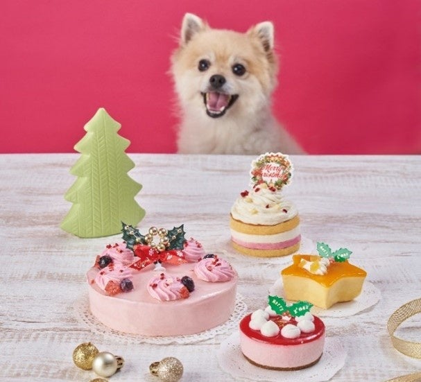 ✨🎅クリスマスケーキのご紹介🎄✨ ペットショップ 犬の家＆猫の里倉敷店ペットショップ 犬の家&猫の里子犬だけでなく子猫の情報もたくさん