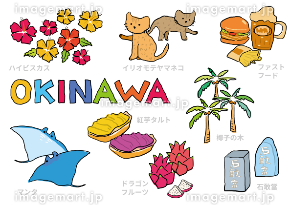 紅芋タルト の写真・イラスト素材