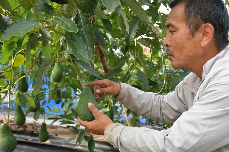 森のバター・畑の肉・海のミルクとは？食材の別名を意味・由来とともに紹介！ ちそう