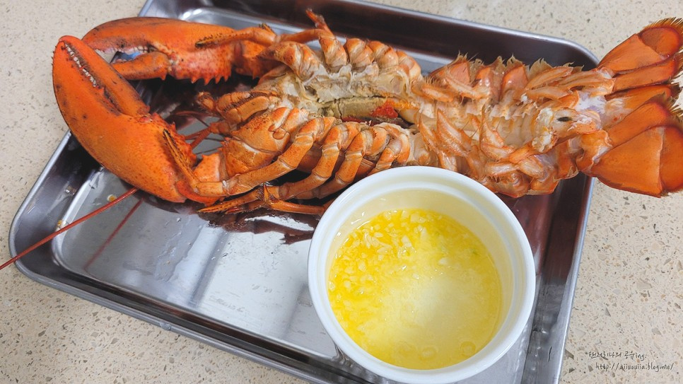 素材のちから - 低温加熱オマール海老という冷凍商品革命