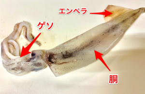 お造り4種盛り ヤリイカの刺身盛り 飾り包丁、いかそうめん、エンペラの部分、様々ないただき方があり、どれも食感が異なり、とても美味しいです。お酒のおつまみにも最高です。 簡単に捌けますので、ぜひみなさんいろんな調理で楽しんでくださいね!工程・目と目