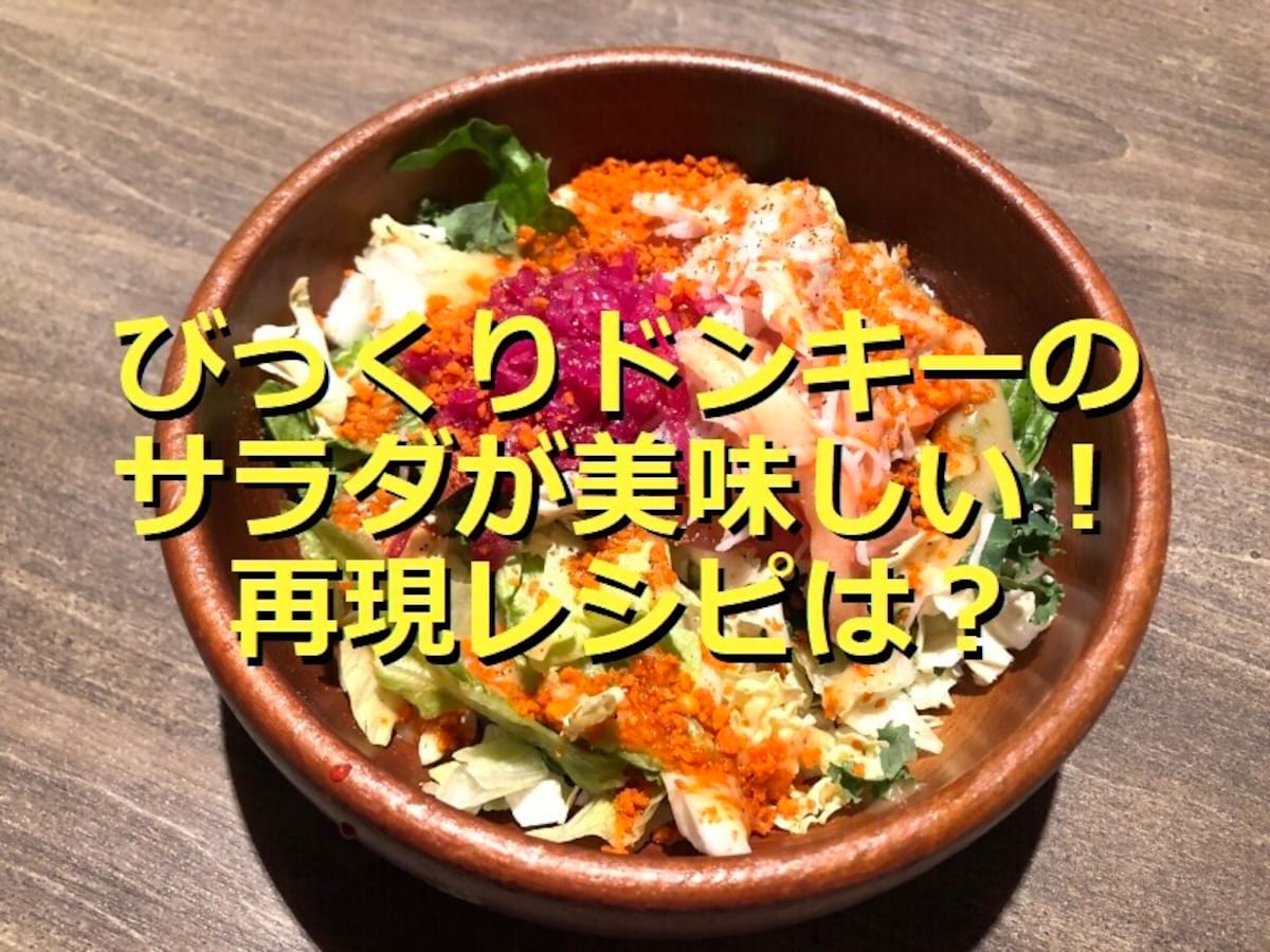 びっくりドンキー 広面店「パインカリーバーグディッシュ S 」「マーメイドサラダ S 」他秋田ガモ子さんのおもひでぼろぼろ