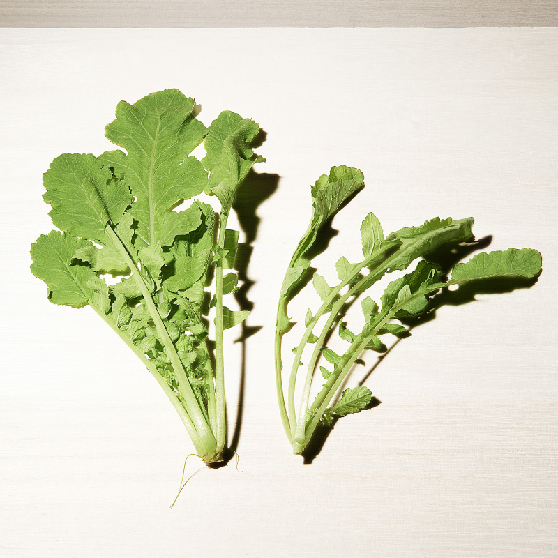 あまくて おいしい なっぱのはなしくろがねクウヤ