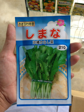 旬を食べよう〜東海地方の伝統野菜〜 三重なばな 三重県桑名市 長島町 、木曽岬町、松阪市フカボリトウカイ東海エリアの深掘りメディア