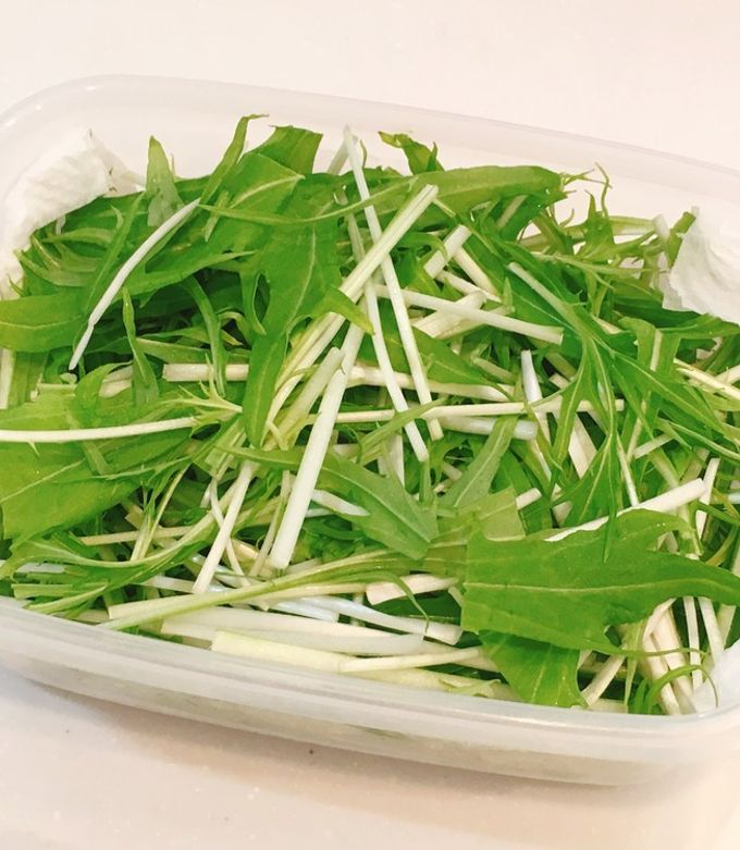 水菜は1か月冷凍保存ができる！保存方法やおすすめのレシピを紹介ピエトロラジオ「いただきます！」を楽しくするwebマガジン