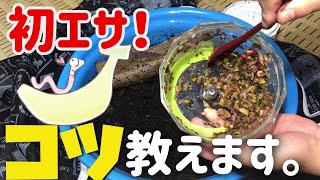ミミズは土を食べる生き物ミミズと健康-ミミズ酵素で高血圧・動脈硬化・認知症予防