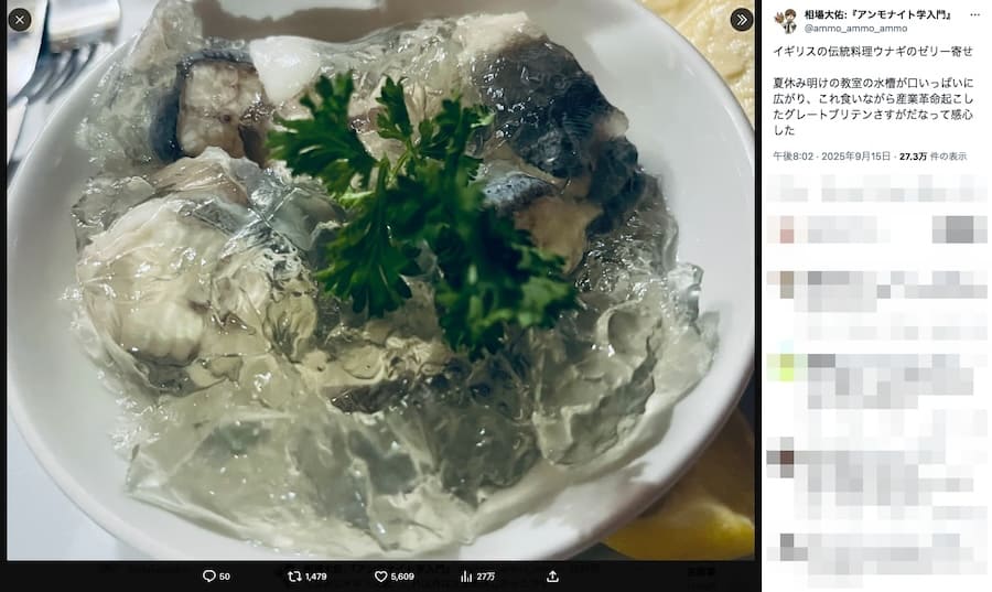 スト6 うなぎのゼリー寄せOTHER - ストリートファイター6 攻略Wiki スト6： ヘイグ攻略まとめWiki