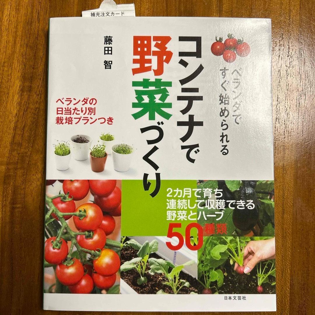 テラスのコンテナで栽培する葉物野菜 写真素材6044881- フォトライブラリ