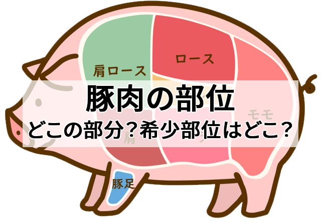 おいしい情報をお届けするコラム＞豚肉の部位の特徴を知っておいしさを味わおう＜おいしい情報をお届けするコラム＞豚肉の部位の特徴 を知っておいしさを味わおう│栄養士・管理栄養士を目指す人をサポート
