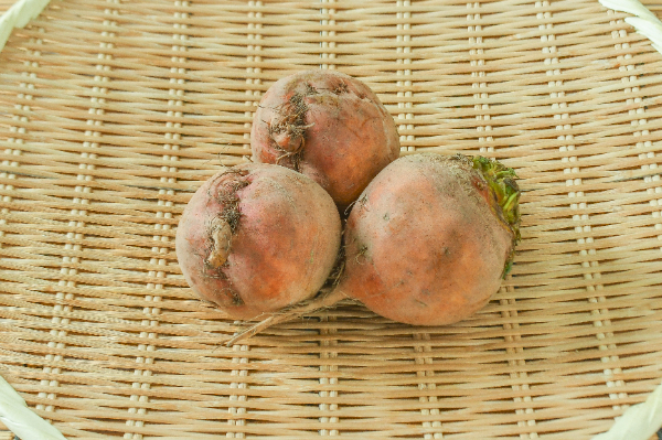 ゴールデンビーツサラダWestgold JP