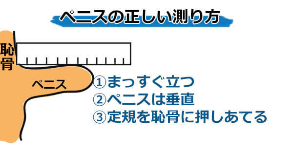 トイレットペーパーの芯チャレンジ】チンコの理想サイズは芯の大きさって本当なの？ | Men's Chinchi