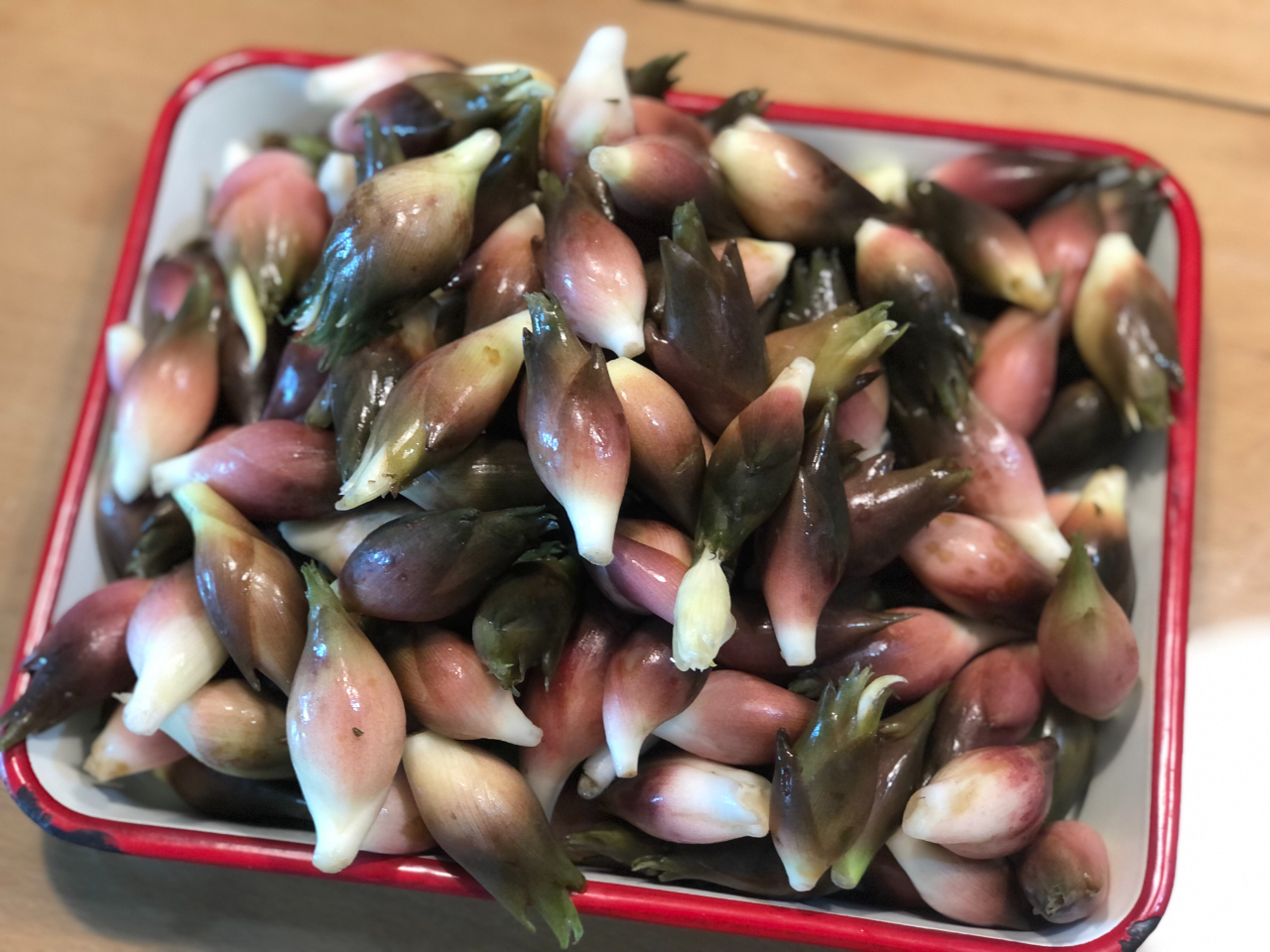 みょうがの大量消費 薬味好き必見！激ウマレシピ人気の24選の人気レシピ・作り方デリッシュキッチン