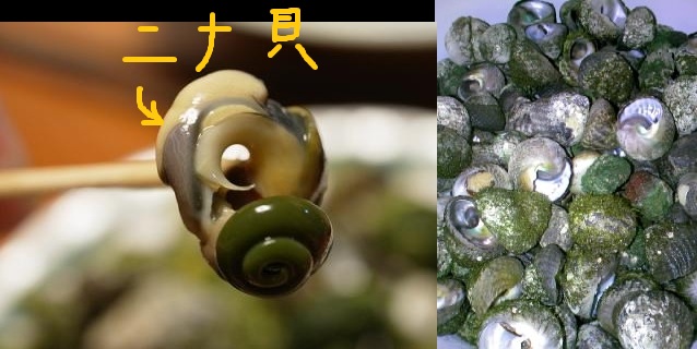 磯の貝を集めて蜷味噌 になみそ を作ってみた野食ハンマープライス
