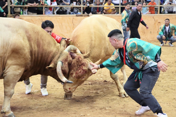 第72回春の高校バレー沖縄予選 男子は西原、女子は首里が優勝｜【SPAIA】スパイア