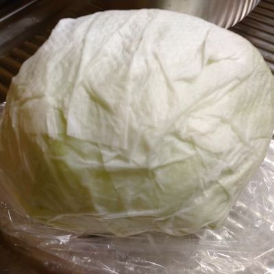 レタスの保存方法長持ちさせるテクや新鮮さの見極め方を紹介HugKum はぐくむ