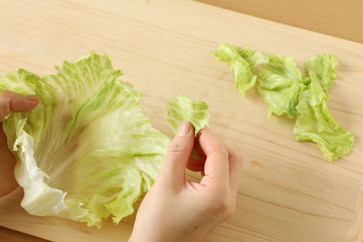 うまさ10倍!レタスの切り方 ちぎり方 料理のプロがやってる裏ワザが話題クックパッドニュース