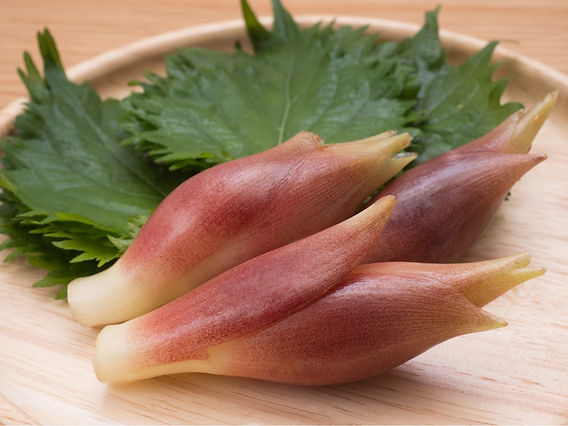 みょうがの食べ過ぎは体に良くない?「バカになる」といわれるワケも解説 - macaroni