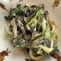 ほうれん草 ツナ ゆで卵 サラダTikTok