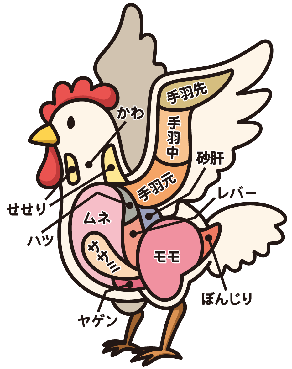 サガリ 肉のようなホルモン体験 – あか牛精肉販売所 あか牛 赤牛 専門通販サイト