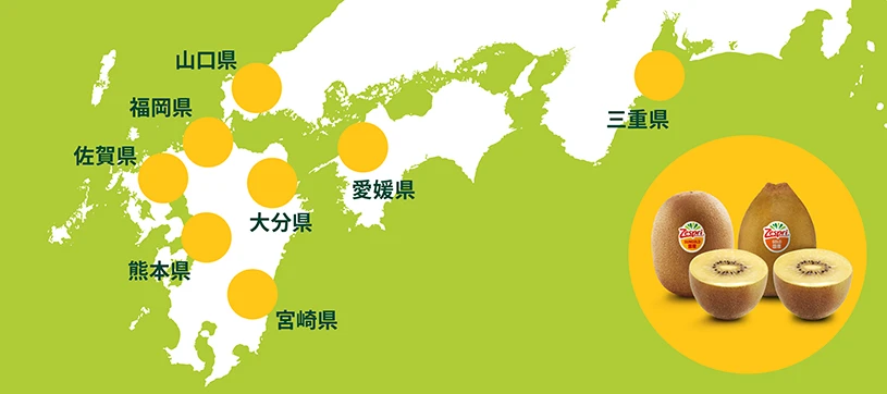 苗木から始める キウイフルーツのプランター栽培農家web