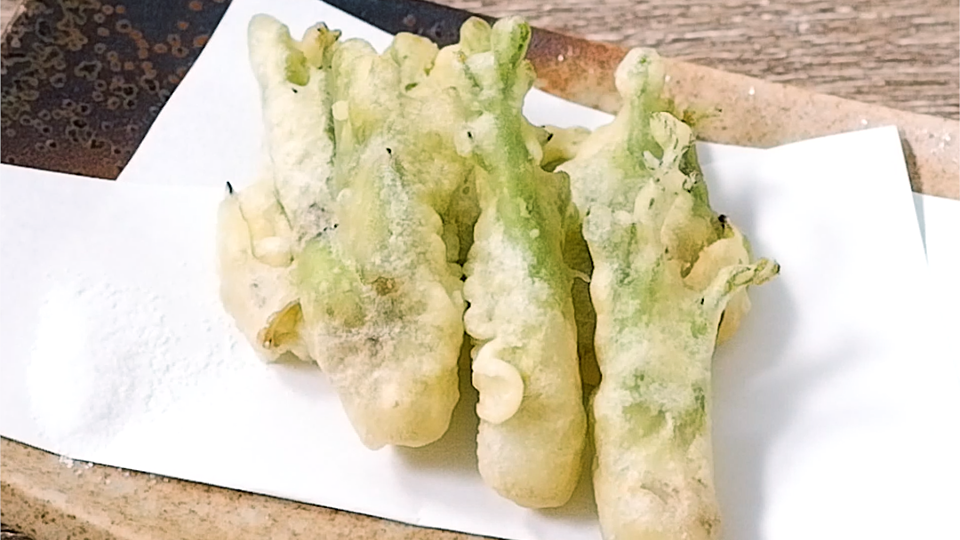 春の旬の食材 白木の芽 コシアブラの天ぷらの写真素材77297558- PIXTA