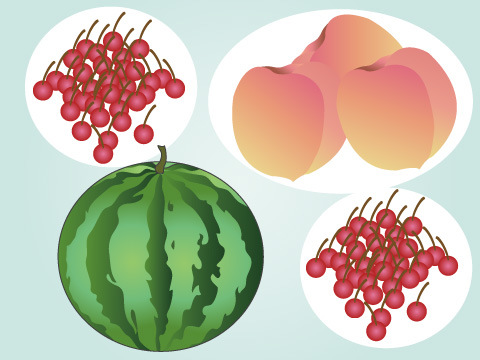 保存版 7月旬の野菜と果物 一覧表- japanese-food.net