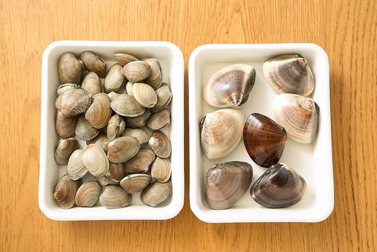 砂抜き不要のマテ貝の美味しい食べ方のレシピとそのお味江戸川放水路の歩き方ハゼ釣り・潮干狩りを徹底攻略