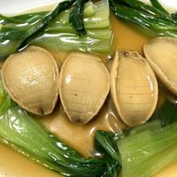 コストコ レシピ付き ひと味違う贅沢アワビのオイスターソース - YouTube