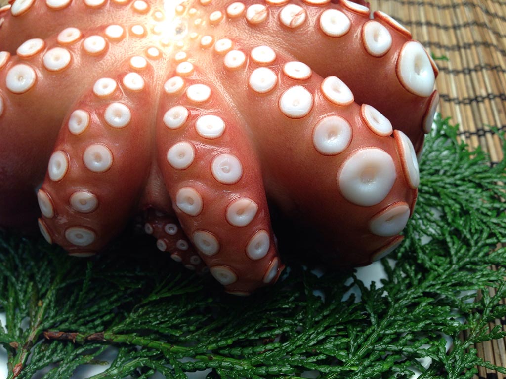 ゆでカットたこ計1kg・200g×5Pたこ タコ 蛸 ぶつ切り 茹で 小分け 海鮮 魚介 海産物 冷凍 国産106800201網中水産大分県宇佐市セゾンのふるさと納税