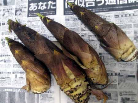 たけのこの白い粉は食べても大丈夫？その正体に「見方が変わった」「意外」 - macaroni