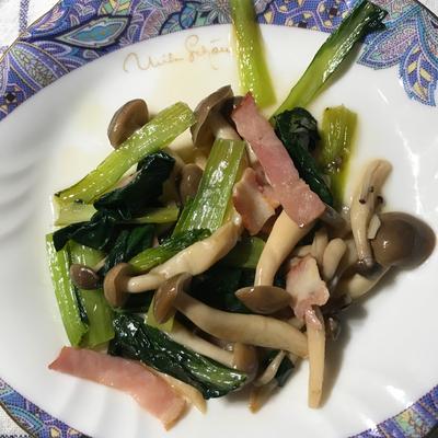 小松菜の副菜レシピ ごまマヨダレがよく合う!簡単小鉢♪