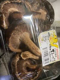 しいたけの裏が茶色や黒い これって食べれる？変色の原因や注意点、調理法についてeveryday life