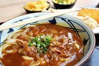 賞味期限切れのうどんを食べると危険？ うどんの賞味期限の注意点ネルマエニ