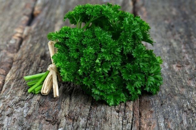 農家が教えるパセリの栽培方法 栄養たっぷり！ 長く収穫できる育て方マイナビ農業