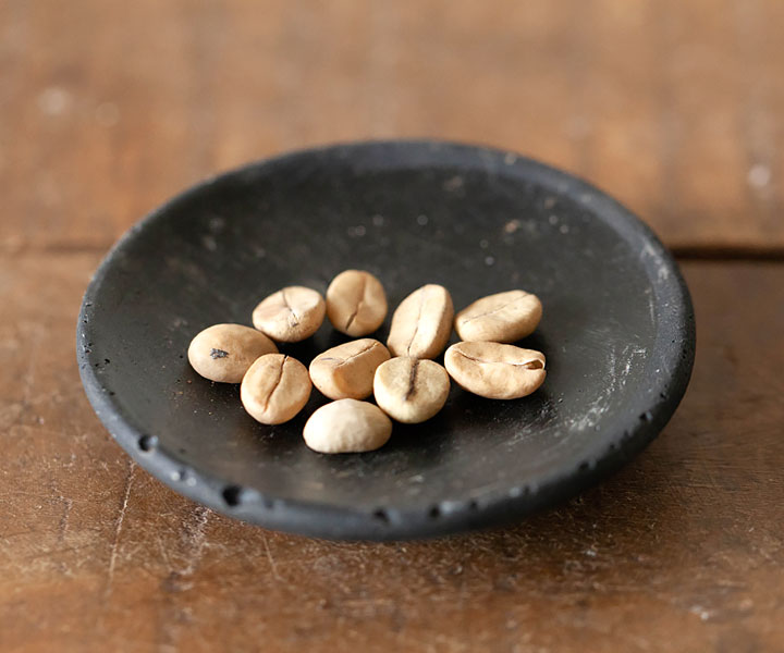 コーヒーの木 コーヒーノキ の花言葉！どんな花や実をつける？風水や観葉植物の種類は？HORTI by GreenSnap