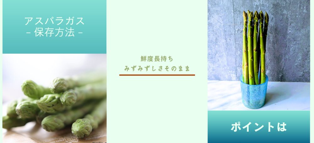 アスパラ」←「そのまま冷蔵庫はNG」その理由とは？ただしい保存方法を元スーパーの店員が解説ぱるとよ 食材ブログ