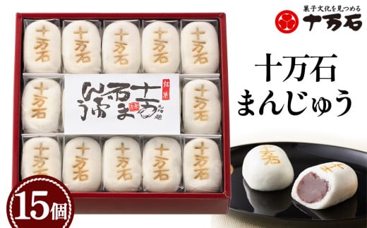 ふるさと納税 カステラ焼箱根まんじゅう 20個饅頭饅頭饅頭饅頭饅頭神奈川県箱根町 カステラ焼箱根まんじゅう 15個まんじゅう 饅頭マンジュウ カステラ かすてら 白あん 和菓子 和風スイーツ 和スイーツ わがし お菓子 おかし おやつ 常温 お饅頭 贈答