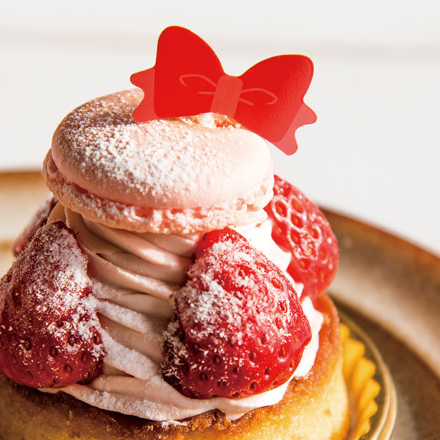 リボンＤｅｃｏちゃん - 犬用ケーキ・おやつを全国配送！Celebwankoセレブワンコ