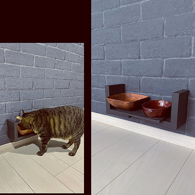 愛猫のごはんの与え方、フード選びから嗜好性まで詳しく解説GREEN DOG & CAT グリーンドッグ & キャット 公式通販