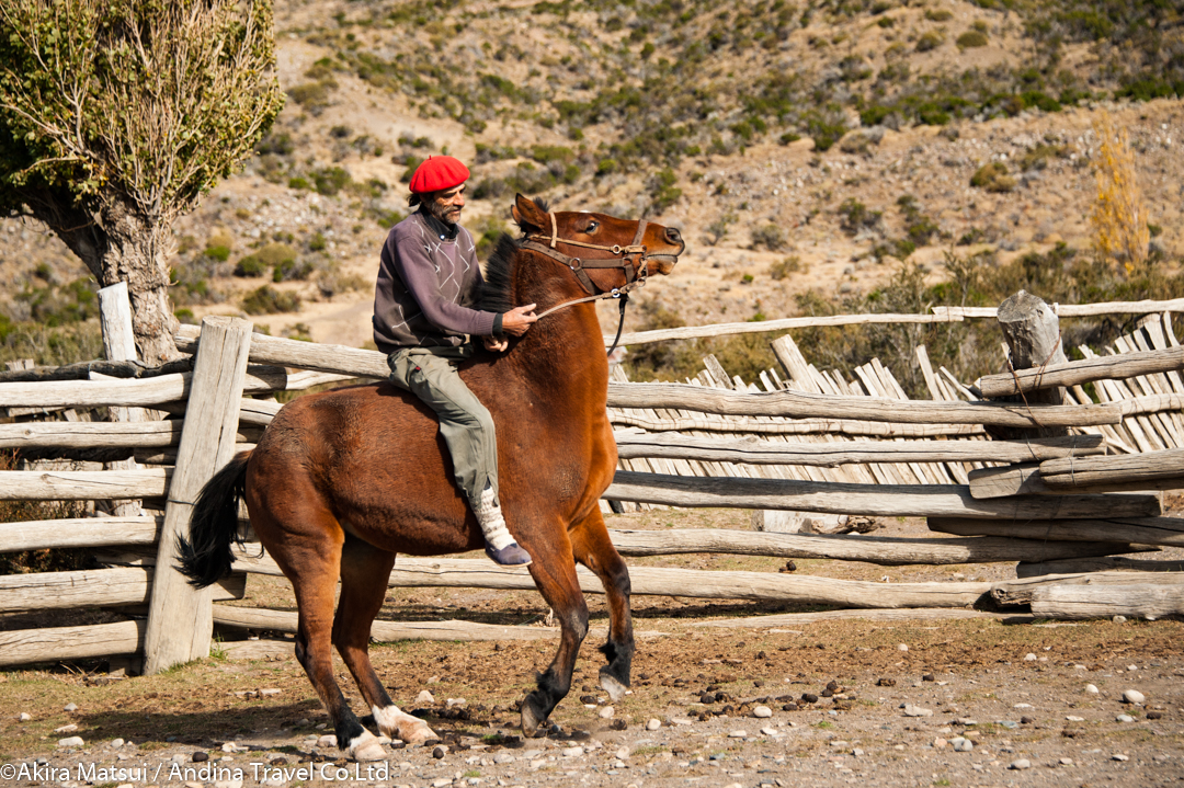 アルゼンチンのバーベキューORY